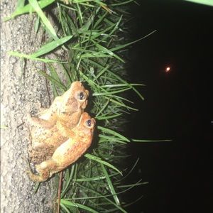 Meet your Posher, Ethan